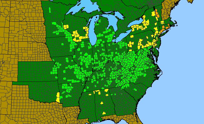 The range of Aplectrum hyemale
